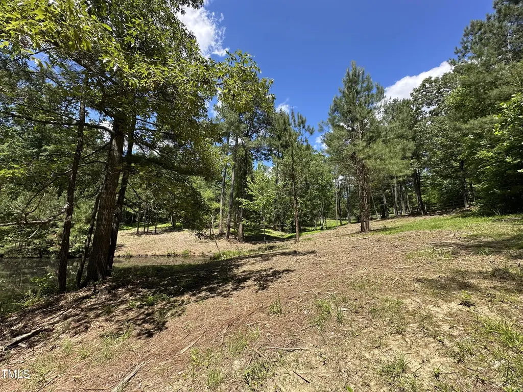 6229 Horse Fly Trail Wake Forest NC 27587