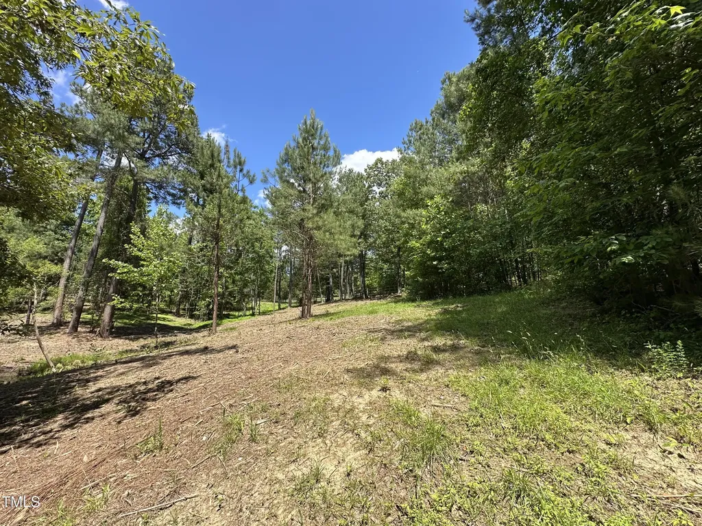 6229 Horse Fly Trail Wake Forest NC 27587