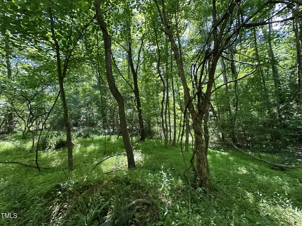 6229 Horse Fly Trail Wake Forest NC 27587