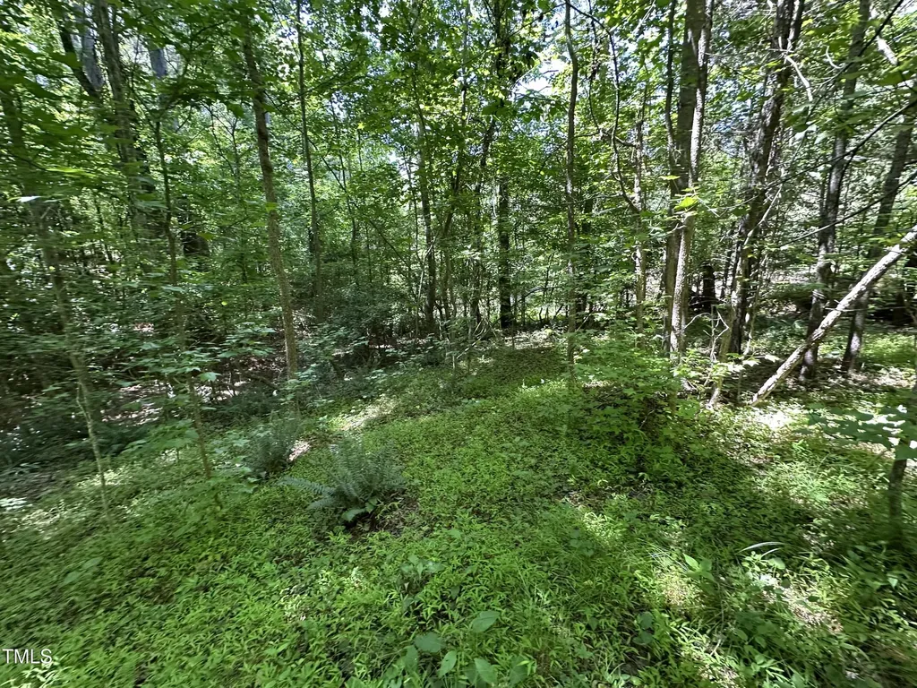 6229 Horse Fly Trail Wake Forest NC 27587