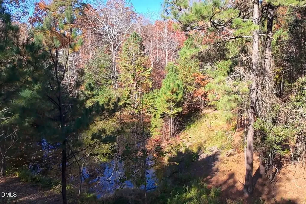 6229 Horse Fly Trail Wake Forest NC 27587