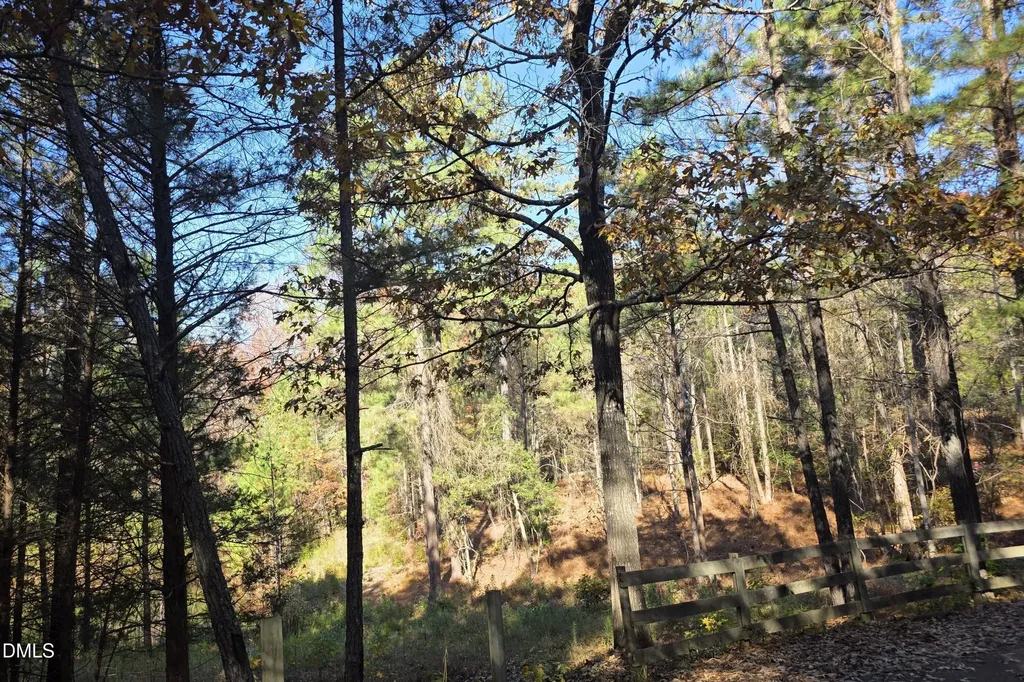 6229 Horse Fly Trail Wake Forest NC 27587