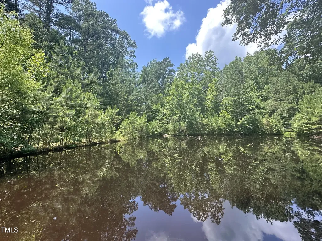6229 Horse Fly Trail Wake Forest NC 27587