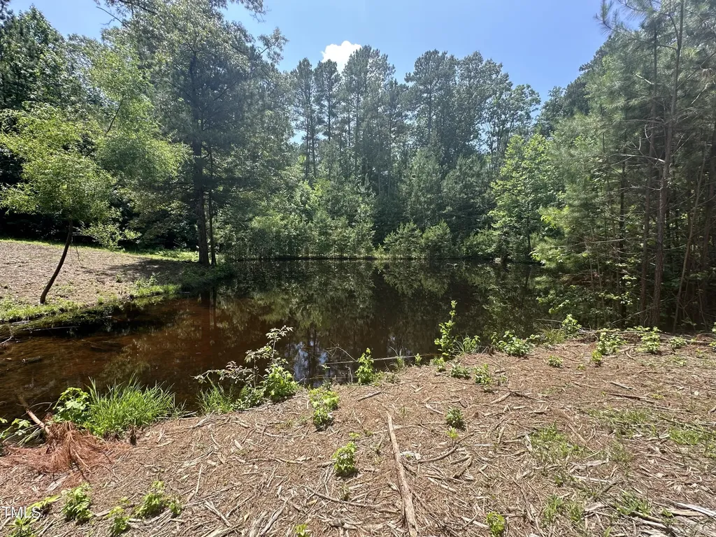 6229 Horse Fly Trail Wake Forest NC 27587