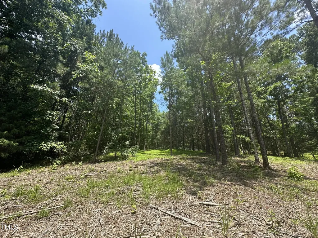 6229 Horse Fly Trail Wake Forest NC 27587