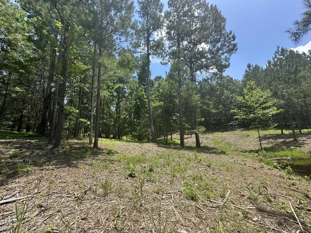 6229 Horse Fly Trail Wake Forest NC 27587