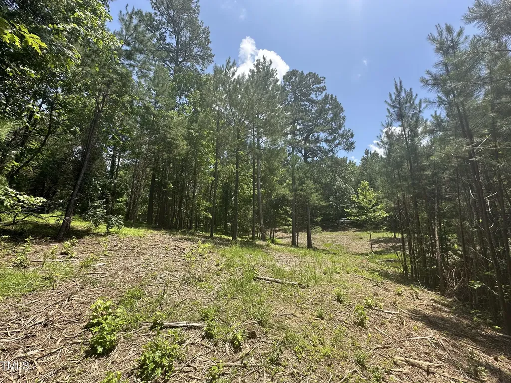 6229 Horse Fly Trail Wake Forest NC 27587