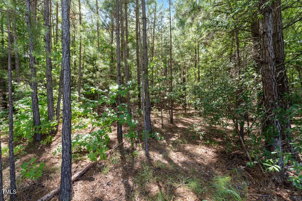 4106 Wilson Town Road Oxford NC 27565