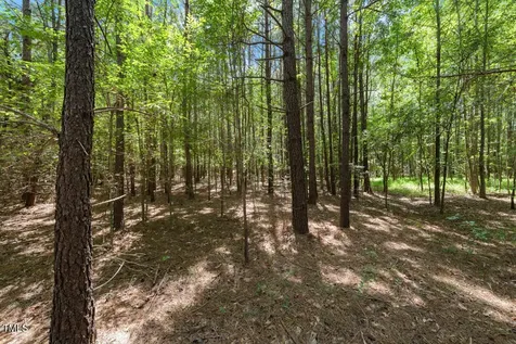4106 Wilson Town Road Oxford NC 27565