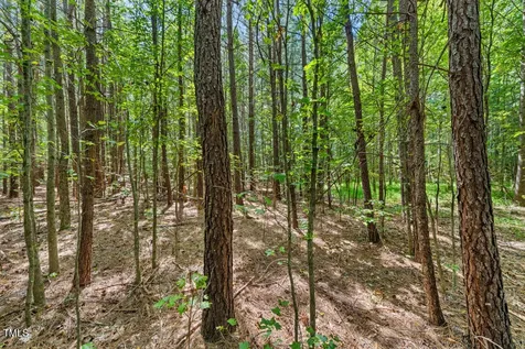 4106 Wilson Town Road Oxford NC 27565