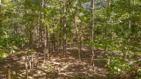 0 Goathouse Road Pittsboro NC 27312
