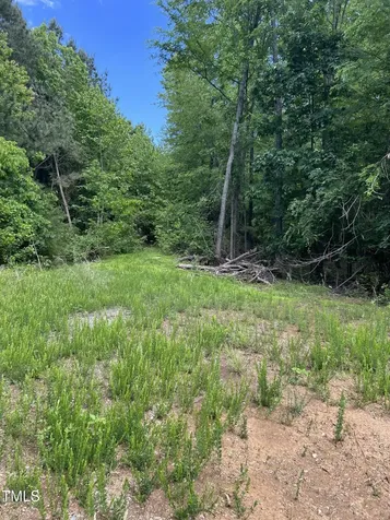 112 Scnobia Taylor Road Cedar Grove NC 27231