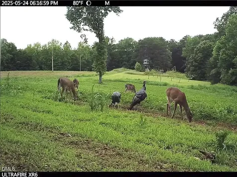 390 Line Creek Farm Road Yanceyville NC 27379