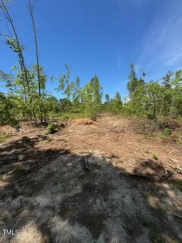 0 Beasley Road Benson NC 27504