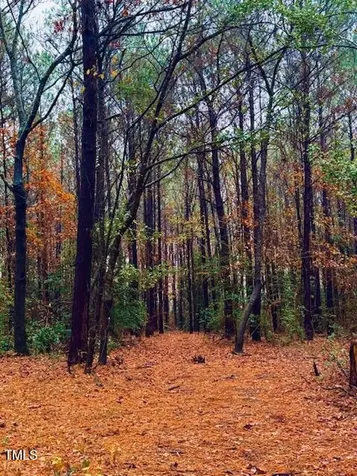 0 Beasley Road Benson NC 27504