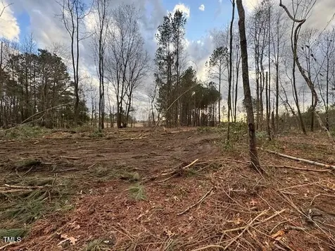 0 Beasley Road Benson NC 27504