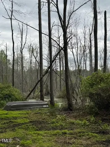0 Beasley Road Benson NC 27504
