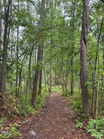 0 Beasley Road Benson NC 27504