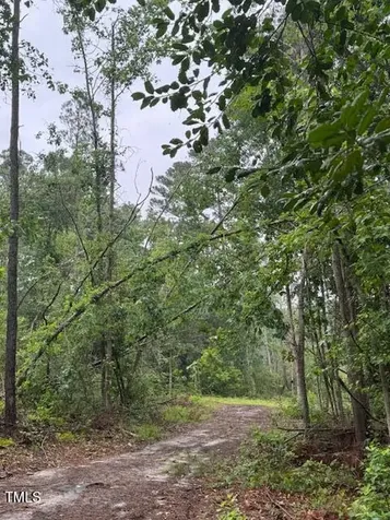 0 Beasley Road Benson NC 27504