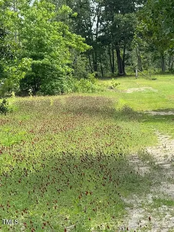 0 Beasley Road Benson NC 27504