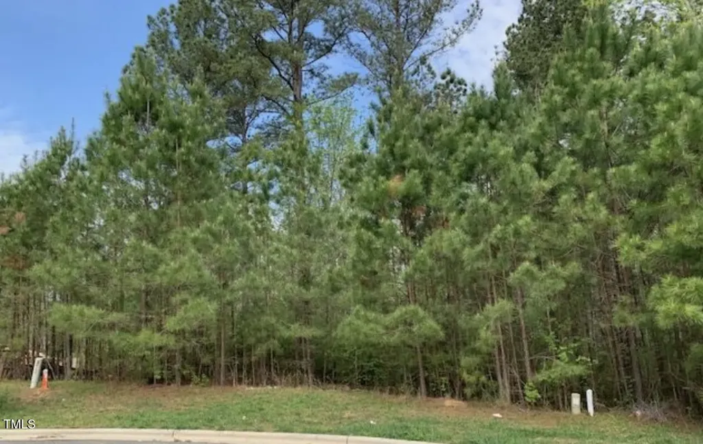 68 Larkspur Court Pittsboro NC 27312