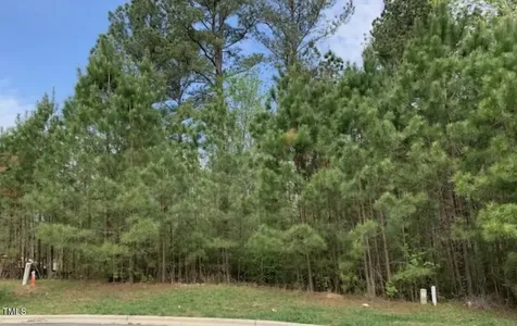 68 Larkspur Court Pittsboro NC 27312