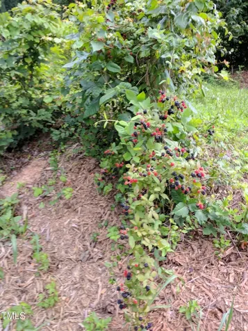 4008 Old Nc 86 Hillsborough NC 27278