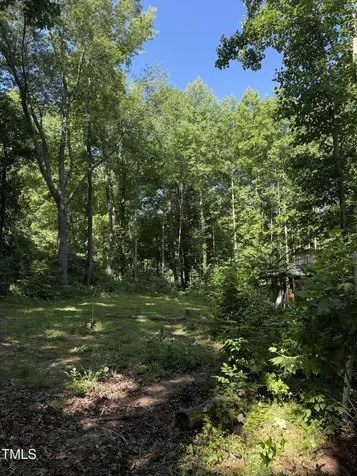 190 Louise Jenkins Road Moncure NC 27559