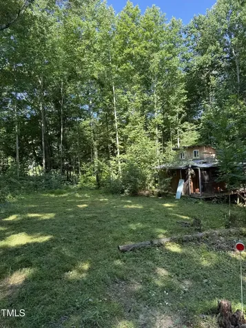 190 Louise Jenkins Road Moncure NC 27559