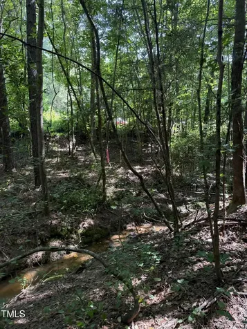 190 Louise Jenkins Road Moncure NC 27559