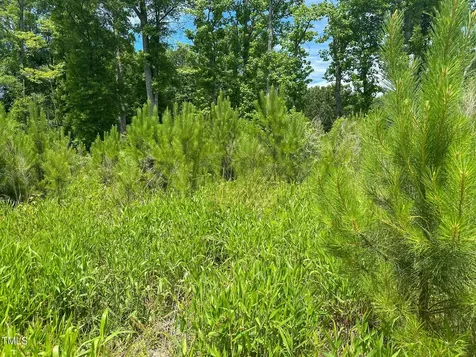 0 Bonlle Bennett Road Bear Creek NC 27344