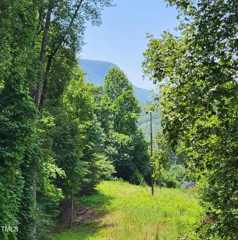 1080 Kudzu Lane Danbury NC 27016