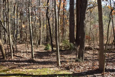 9 Pinecourt Drive Siler City NC 27344