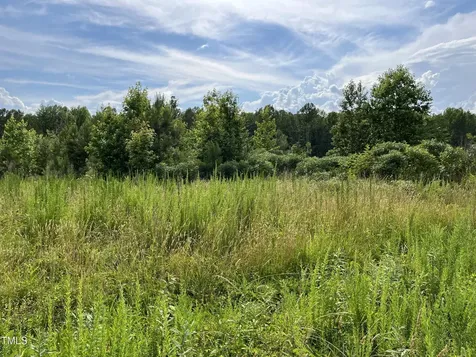 00 Bullocksvile Park Road Manson NC 27553