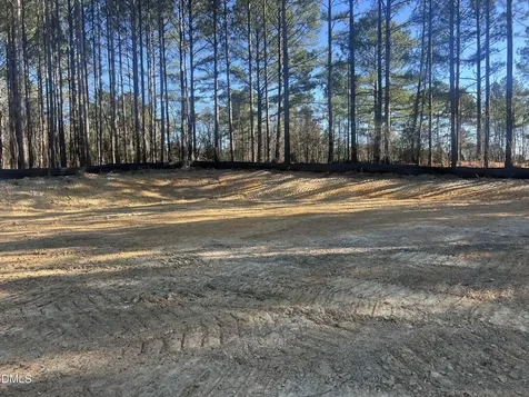 25 Blackhorn Court Pittsboro NC 27312