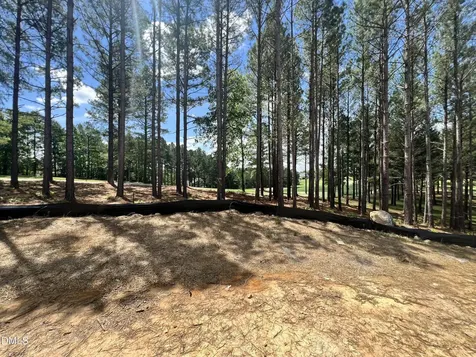 25 Blackhorn Court Pittsboro NC 27312
