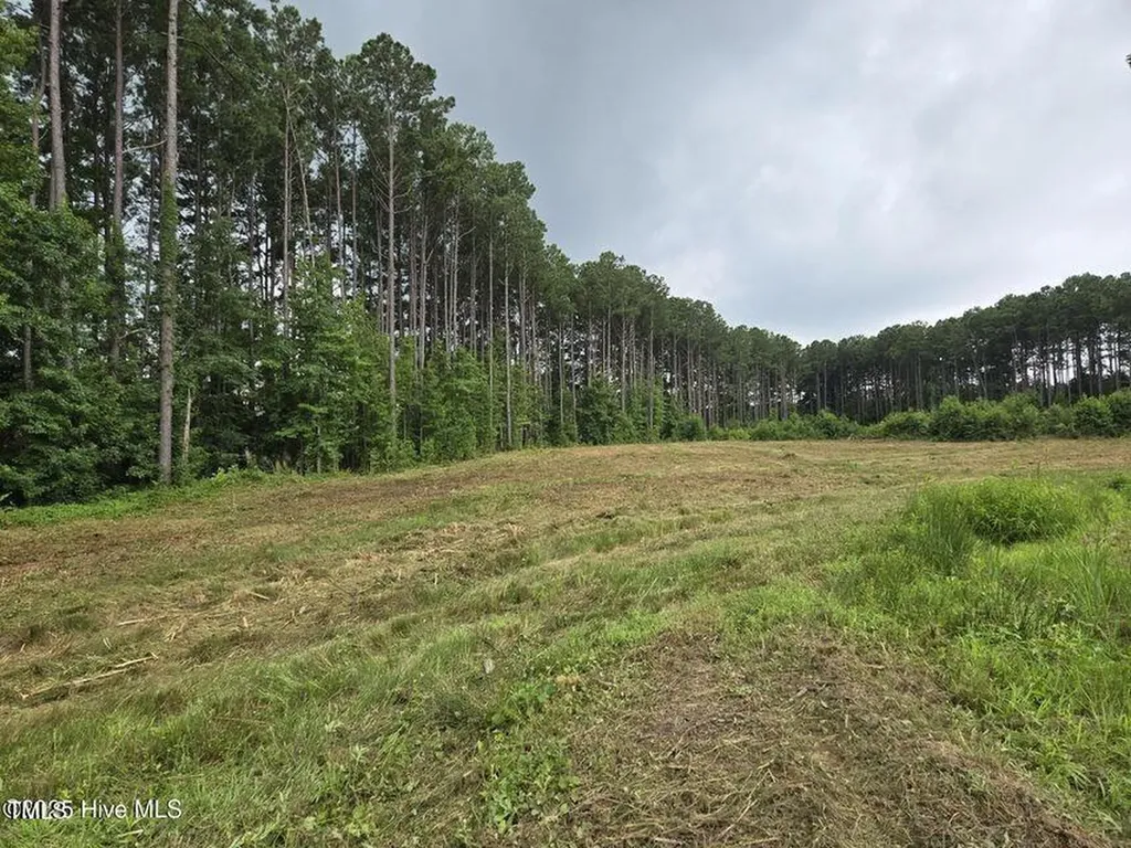 Lot 50 Roseheath Court Bailey NC 27807