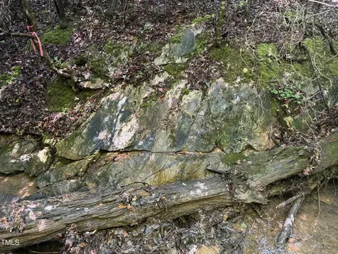 3288 Runner Stone Lane Franklinton NC 27525