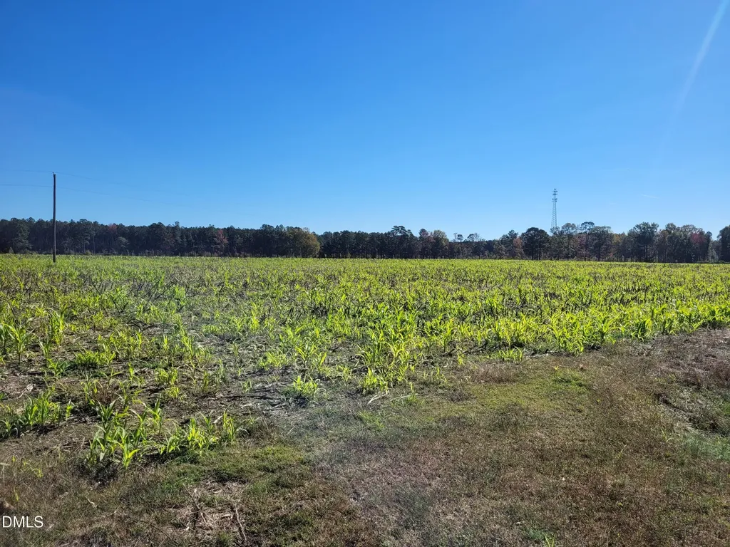 2614 Buffalo Road Smithfield NC 27577