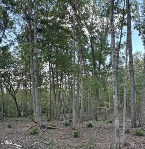 4464-5304 Nc 42 New Hill NC 27562
