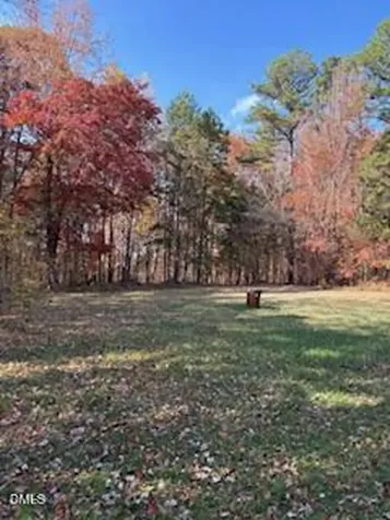 3350 Tungsten Mine Road Bullock NC 27507