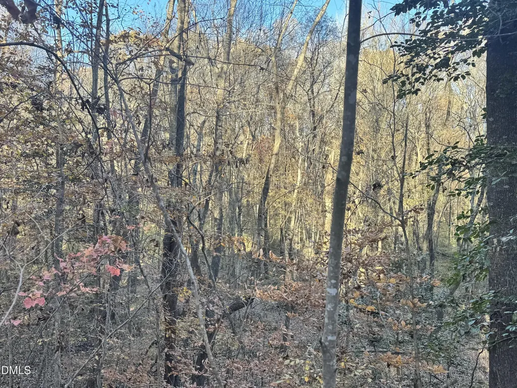 1715 Fire Depart Road Clayton NC 27527
