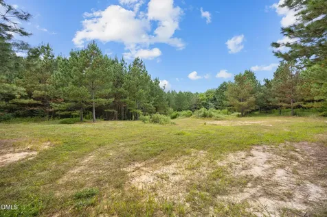 Lot 2 Wolf Tree Way Efland NC 27243