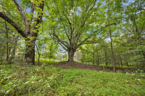 Lot D Wolf Tree Way Efland NC 27243