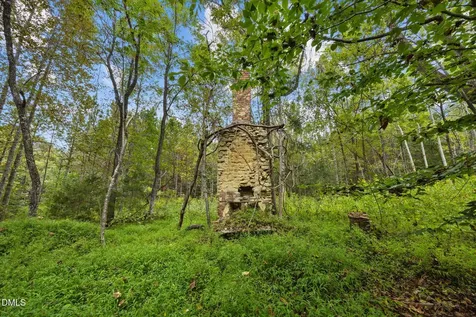 Lot D Wolf Tree Way Efland NC 27243