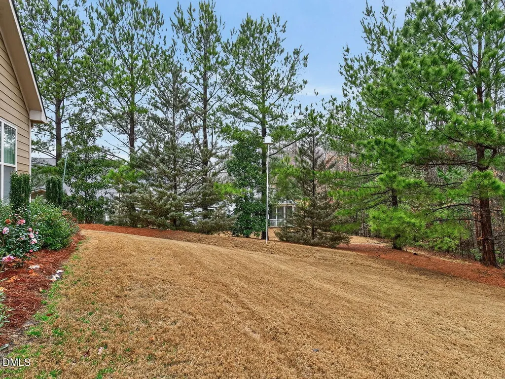 39 Sassafras Lane Clayton NC 27527