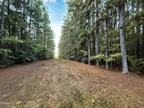 0 Andrew Denton Road Louisburg NC 27549