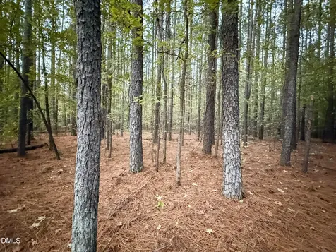 0 Andrew Denton Road Louisburg NC 27549