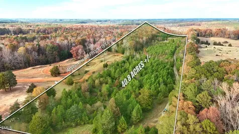 Lot 1 Cheeks Quarter Road Henderson NC 27537