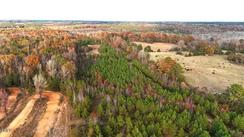 Lot 1 Cheeks Quarter Road Henderson NC 27537